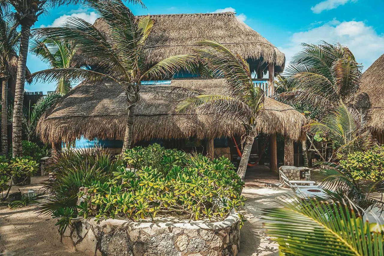 מלון La Conchita Tulum (Adults Only) 4*,  מקסיקו