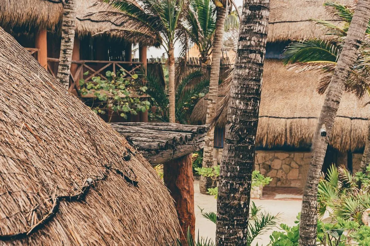 מלון La Conchita Tulum (Adults Only)