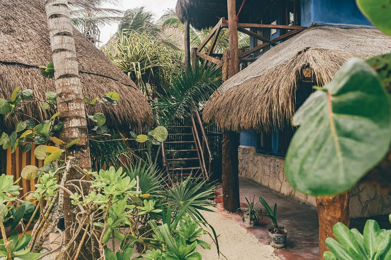 מלון La Conchita Tulum (Adults Only) 4*,
