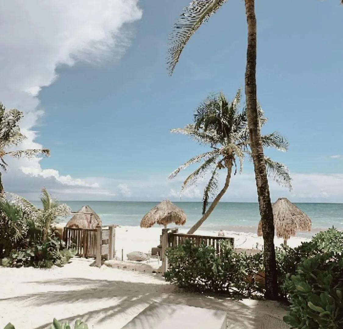 מלון La Conchita Tulum (Adults Only)
